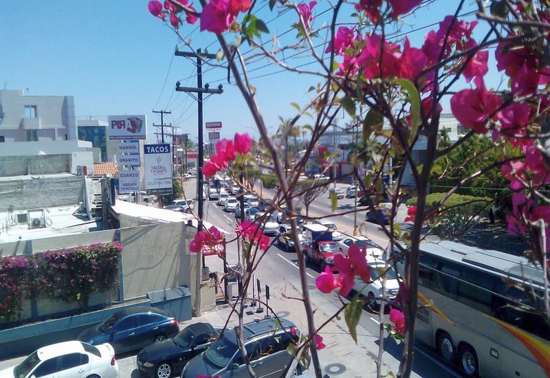 Hotel Mazatlan Bagian luar foto